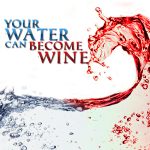 Your Water Can Become Wine CD